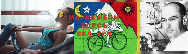 винт Кущёвская