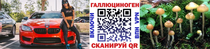как найти   Салехард  сайты даркнета официальный сайт  Галлюциногенные грибы мицелий  блэк спрут ONION 