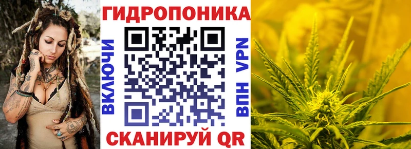 Бошки марихуана план hydra как зайти даркнет состав Салехард